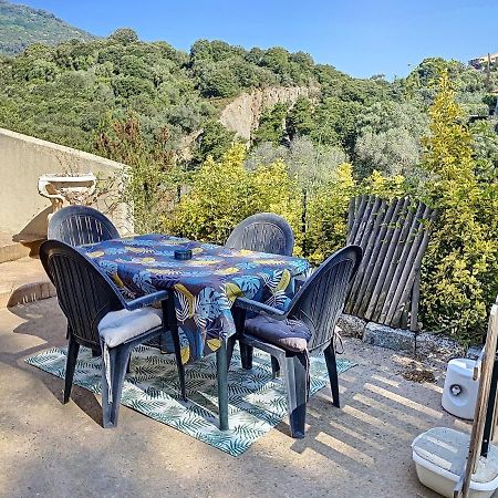 Grand Appartement Spacieux A 5 Min Du Centre Ville Ajaccio  Eksteriør billede