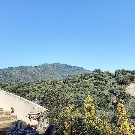 Grand Appartement Spacieux A 5 Min Du Centre Ville Ajaccio  Eksteriør billede