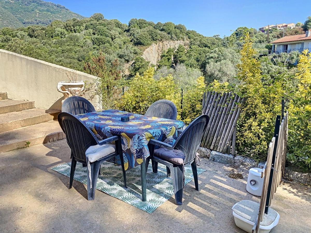 Grand Appartement Spacieux A 5 Min Du Centre Ville Ajaccio  Eksteriør billede